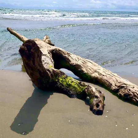 La Casa Luna Llena Frente Al Mar Сasa de vacaciones *